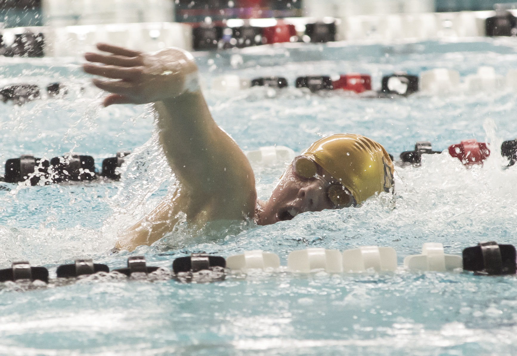 Lady bison take state by storm 2